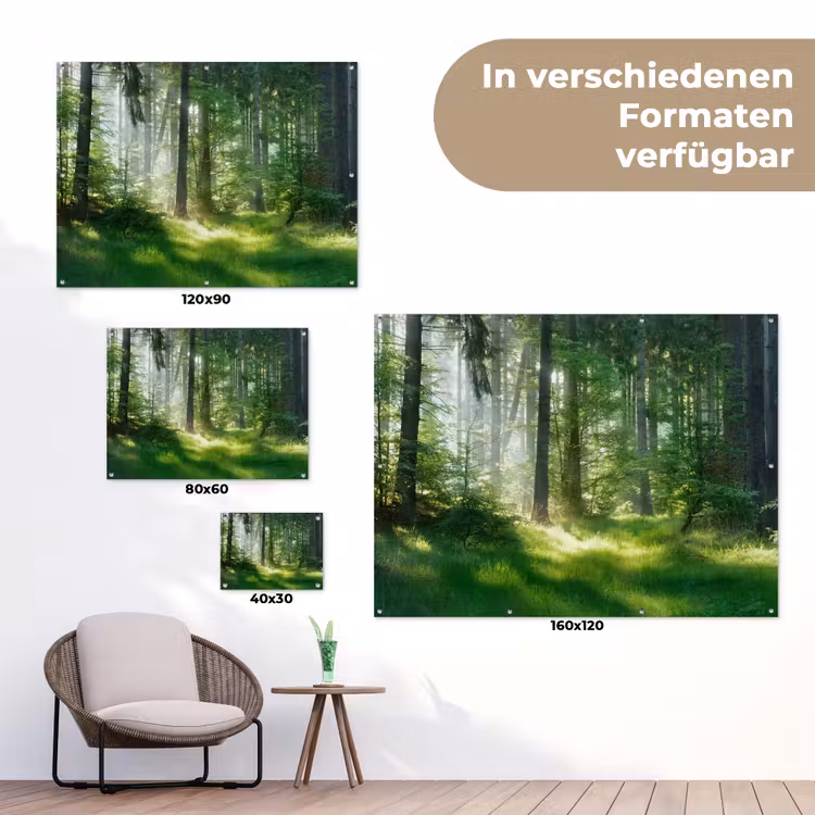 Natuur - Bomen - Bos - Groen - Zon - Gras - Planten tuinposter los doek klein -Xsfeer9_DE