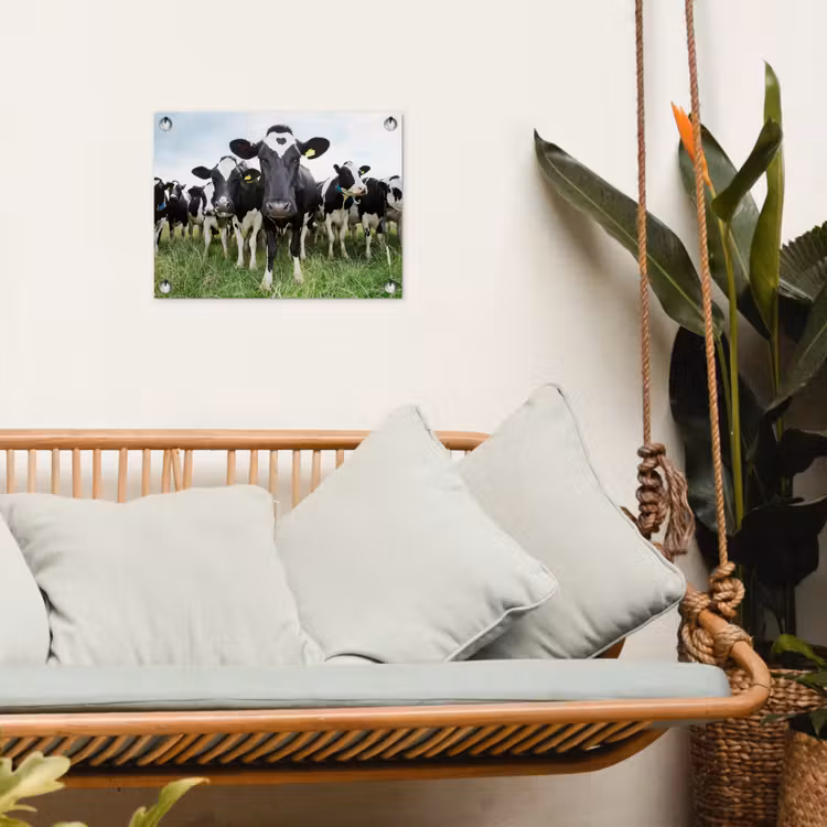 Nieuwsgierige koeien tuinposter los doek klein -sfeer7