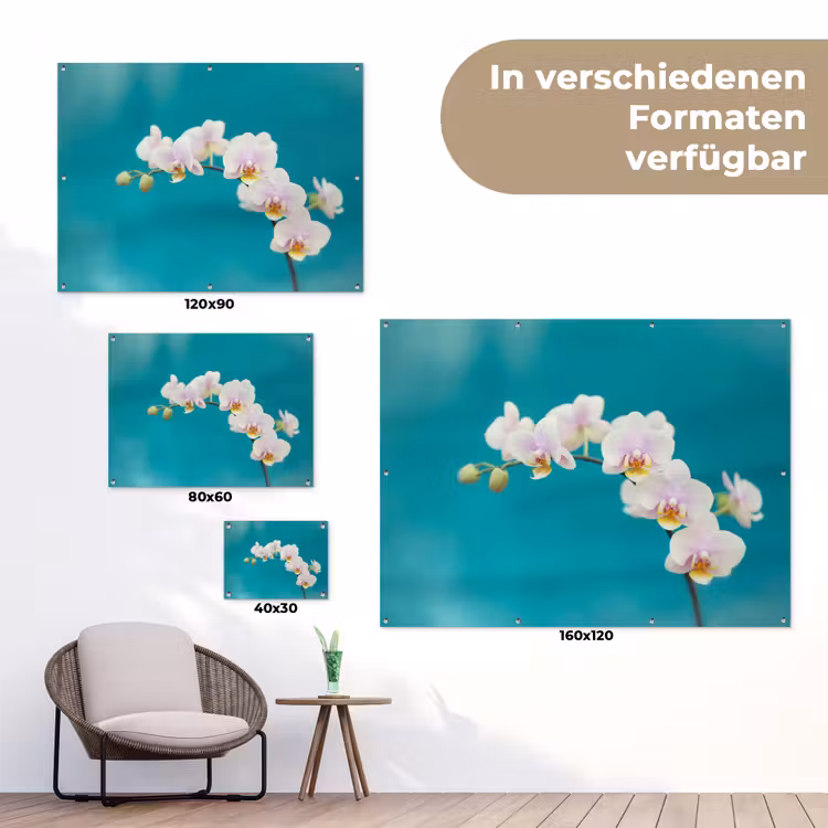 Orchidee - Bloemen - Plant - Wit - Paars tuinposter los doek klein -Xsfeer9_DE