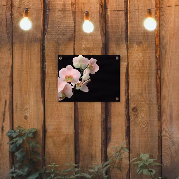 Orchidee - Bloemen - Roze - Stilleven - Flora tuinposter los doek klein -sfeer1