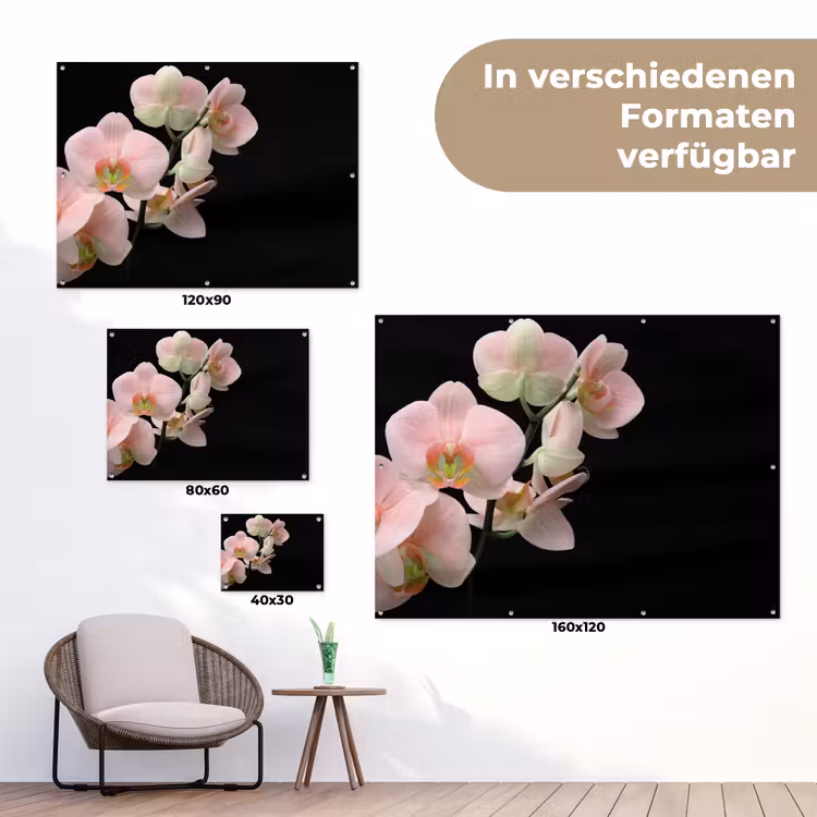 Orchidee - Bloemen - Roze - Stilleven - Flora tuinposter los doek klein -Xsfeer9_DE