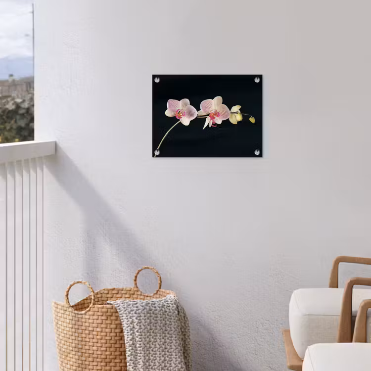 Orchidee - Bloemen - Zwart - Roze - Knoppen tuinposter los doek klein -sfeer8