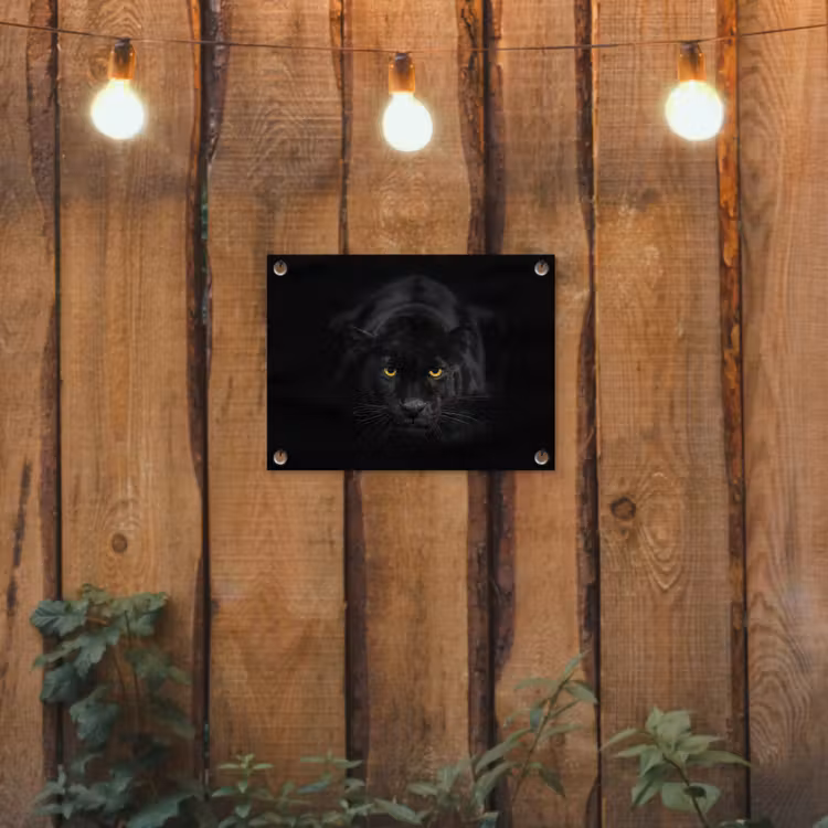 Panter - Dieren - Zwart - Ogen tuinposter los doek klein -sfeer1