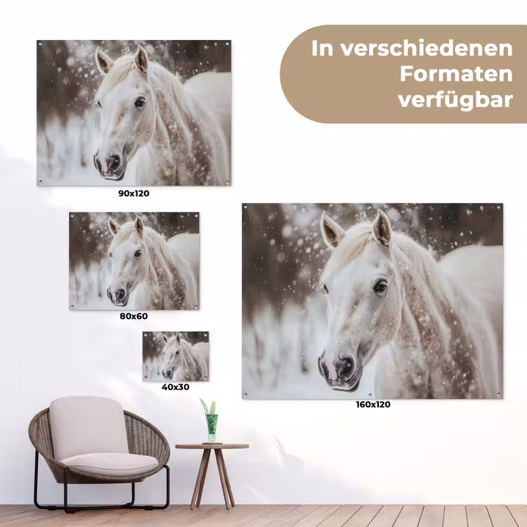 Paard - Wit - Winter - Natuur - Sneeuw - Dieren tuinposter los doek klein -Xsfeer9_DE