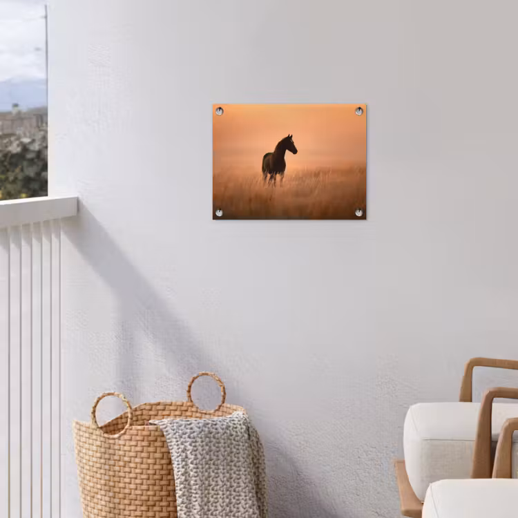 Paard - Grasveld - Zonsondergang tuinposter los doek klein -sfeer8