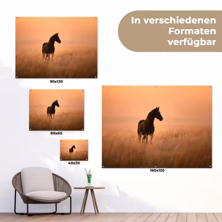 Paard - Grasveld - Zonsondergang tuinposter los doek klein -Xsfeer9_DE
