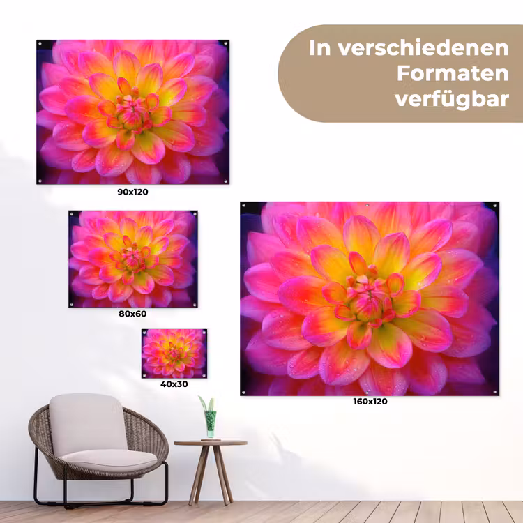 Roze - Dahlia - Kleurrijk tuinposter los doek klein -Xsfeer9_DE