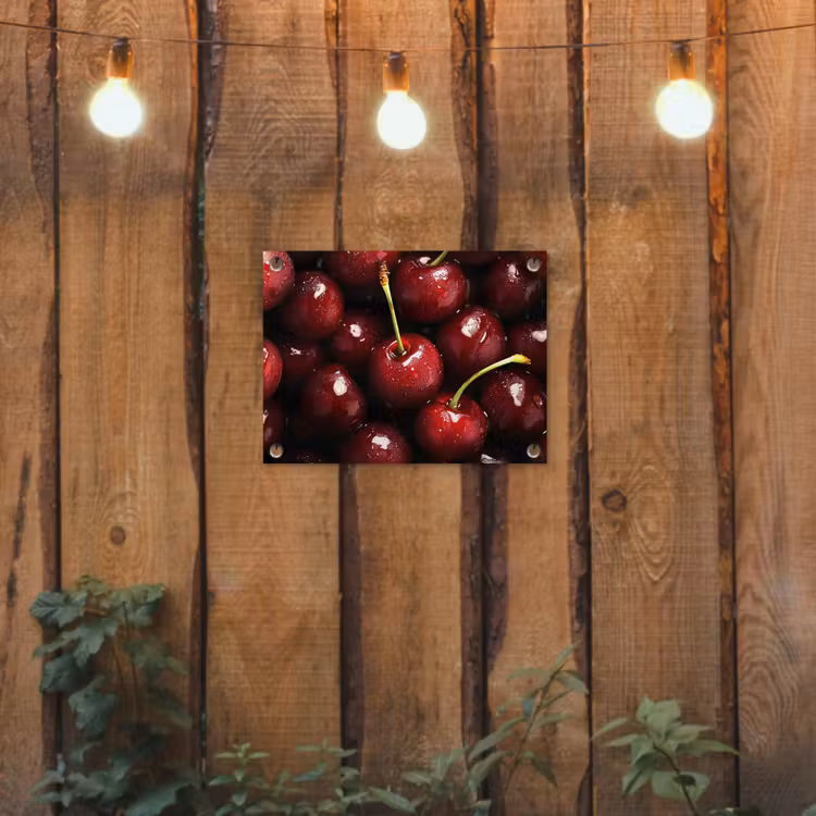 Rood - Fruit - Kersen tuinposter los doek klein -sfeer1