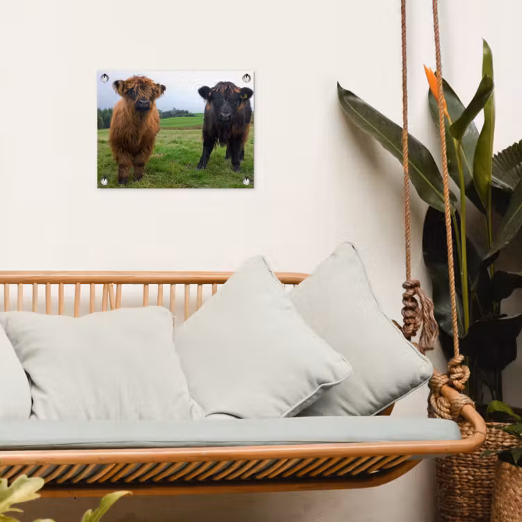 Schotse hooglander - Koeien - Natuur - Groen - Gras tuinposter los doek klein -sfeer7