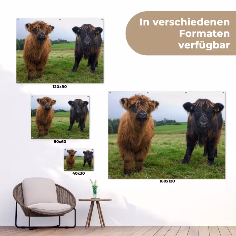 Schotse hooglander - Koeien - Natuur - Groen - Gras tuinposter los doek klein -Xsfeer9_DE