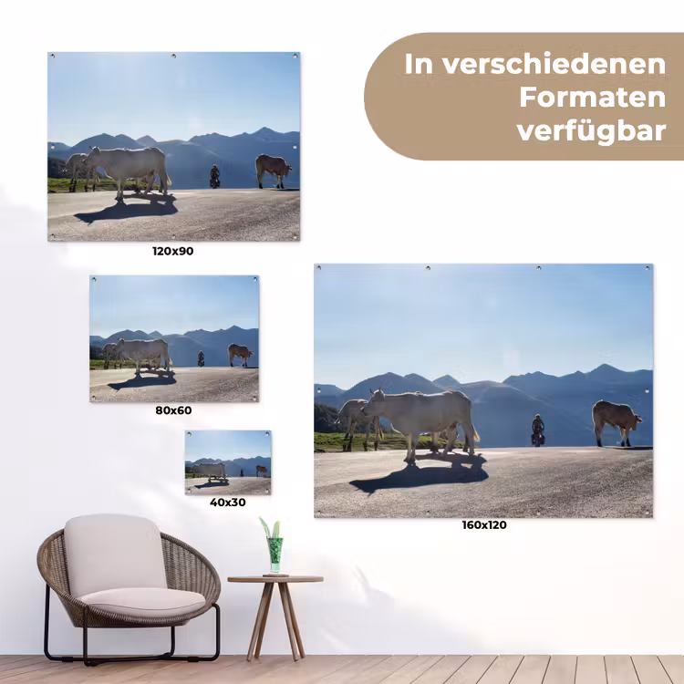 Schotse hooglander - Licht - Berg - Natuur tuinposter los doek klein -Xsfeer9_DE