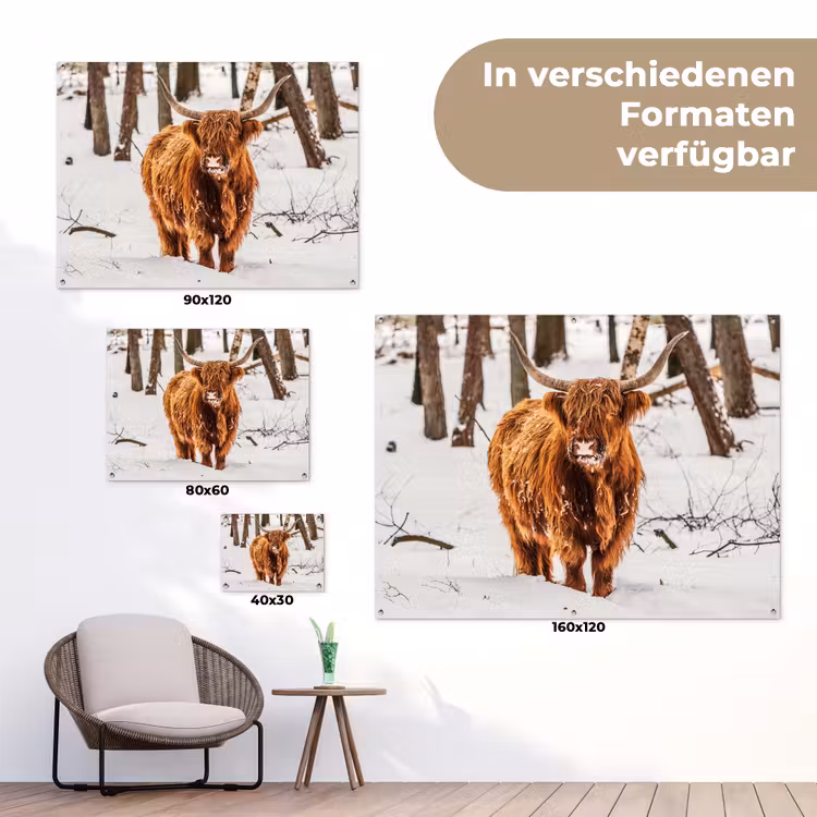 Schotse Hooglander - Sneeuw - Winter - Natuur - Dieren tuinposter los doek klein -Xsfeer9_DE