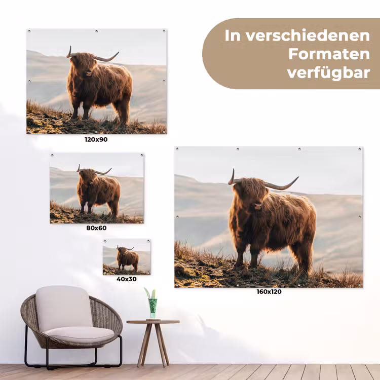 Schotse hooglander - Dieren - Landelijk - Landschap - Koe - Natuur tuinposter los doek klein -Xsfeer9_DE