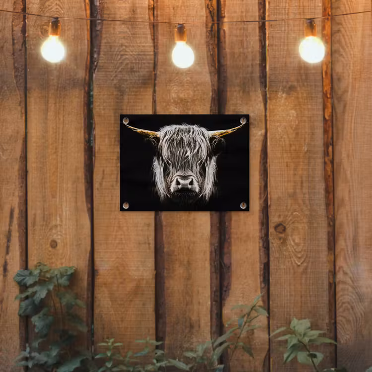 Schotse hooglander - Goud - Hoorns - Zwart wit - Koe - Dieren tuinposter los doek klein -sfeer1