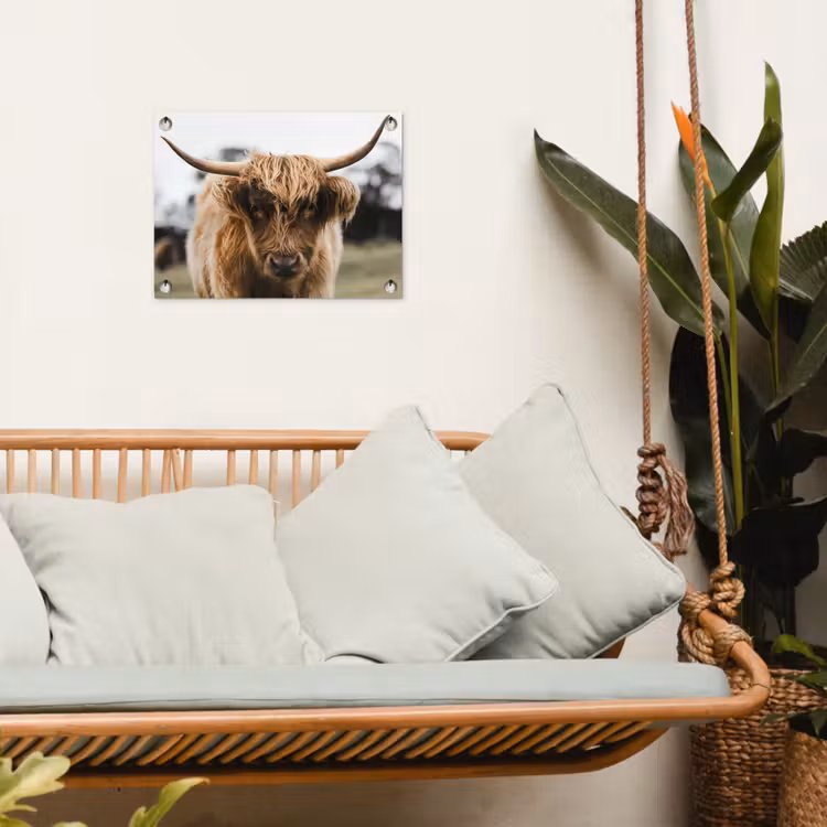 Schotse Hooglander - Koe - Gras - Dieren - Natuur tuinposter los doek klein -sfeer7
