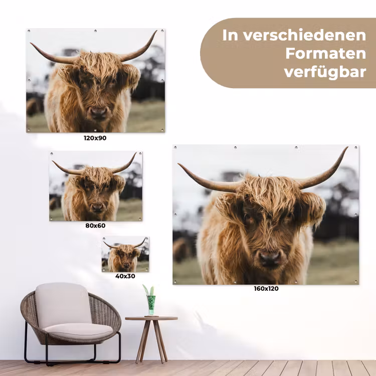 Schotse Hooglander - Koe - Gras - Dieren - Natuur tuinposter los doek klein -Xsfeer9_DE