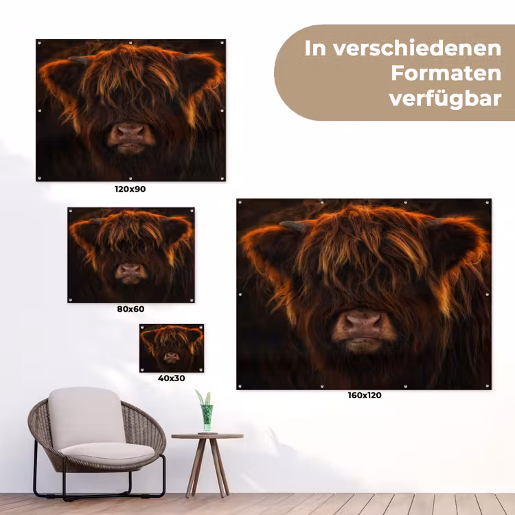Schotse Hooglander - Koe - Portret - Dieren tuinposter los doek klein -Xsfeer9_DE