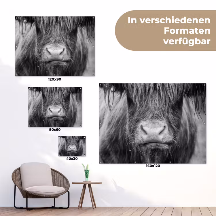 Schotse hooglander - Koe - Zwart - Wit - Dieren tuinposter los doek klein -Xsfeer9_DE