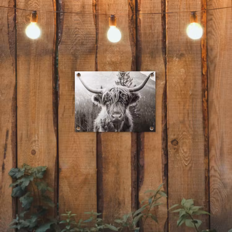Schotse hooglander - Koe - Dieren - Zwart - Wit tuinposter los doek klein -sfeer1