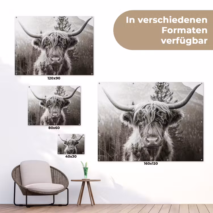 Schotse hooglander - Koe - Dieren - Zwart - Wit tuinposter los doek klein -Xsfeer9_DE