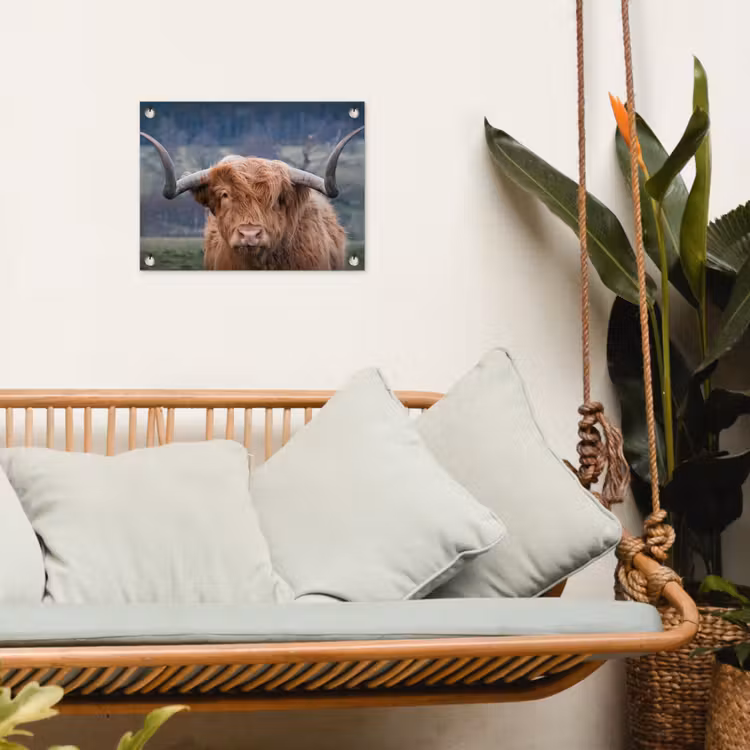 Schotse Hooglander - Koeienkop - Landschap - Natuur - Koe tuinposter los doek klein -sfeer7