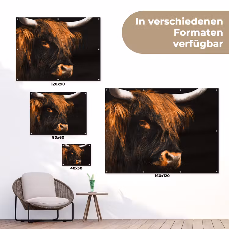 Schotse hooglander - Zwart - Koe - Hoorn - Dieren tuinposter los doek klein -Xsfeer9_DE