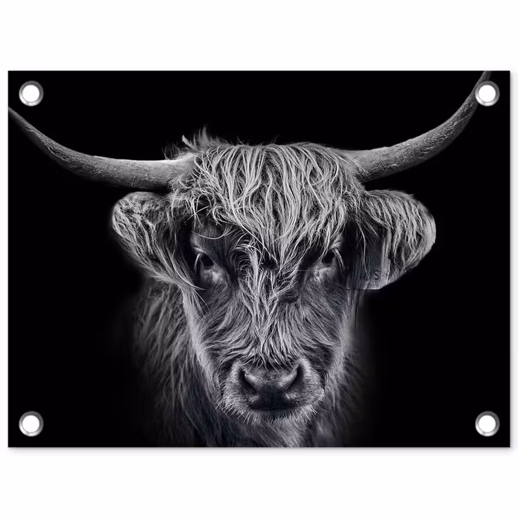 Schotse hooglander - Zwart - Koe - Dieren tuinposter los doek klein -3d