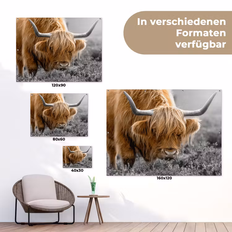 Schotse Hooglander - Dieren - Bruin - Koe - Zwart - Wit - Natuur tuinposter los doek klein -Xsfeer9_DE