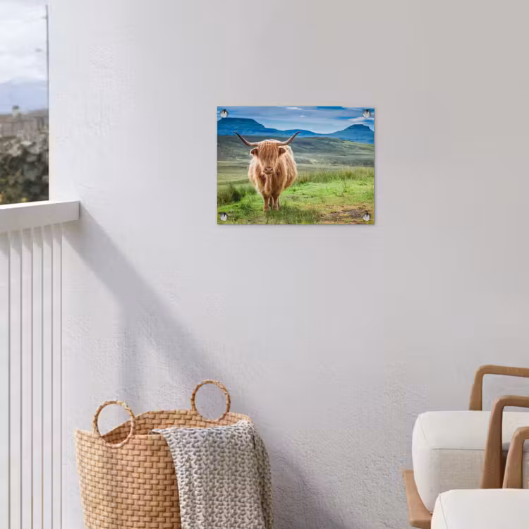 Schotse hooglander - Koe - Natuur - Berg - Gras tuinposter los doek klein -sfeer8