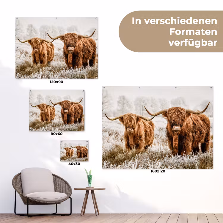 Schotse hooglander - Koe - Dieren - Natuur - Heide tuinposter los doek klein -Xsfeer9_DE