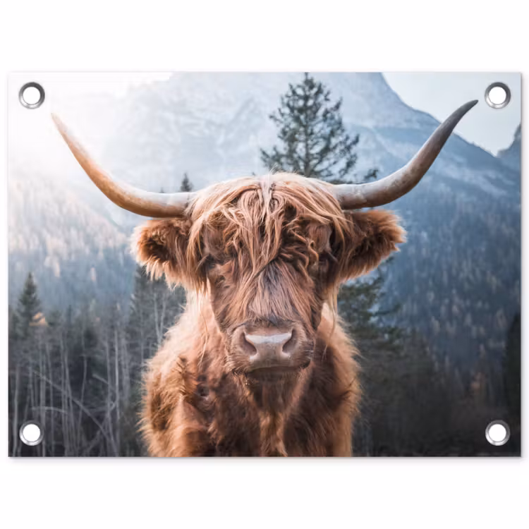 Schotse hooglander - Koe - Dieren - Berg - Natuur tuinposter los doek klein -3d