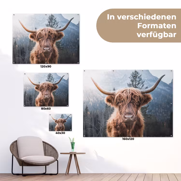 Schotse hooglander - Koe - Dieren - Berg - Natuur tuinposter los doek klein -Xsfeer9_DE