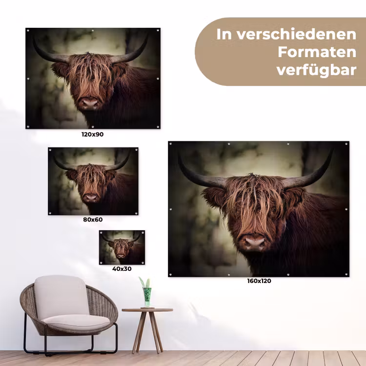 Schotse hooglander - Licht - Portret - Natuur tuinposter los doek klein -Xsfeer9_DE