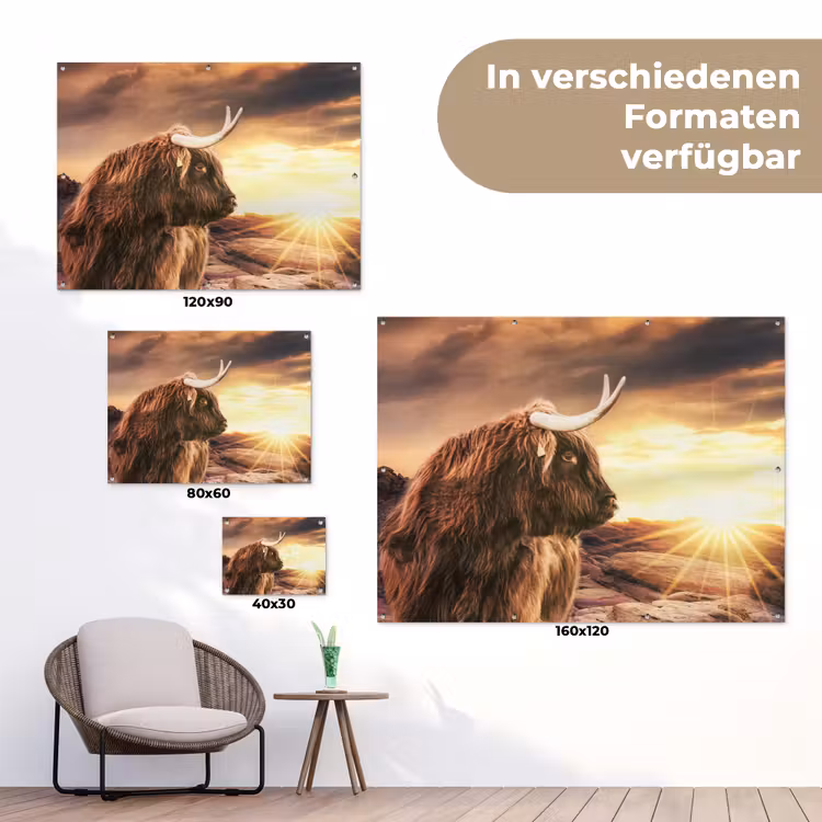 Schotse hooglander - Zon - Horizon - Koe - Dieren tuinposter los doek klein -Xsfeer9_DE