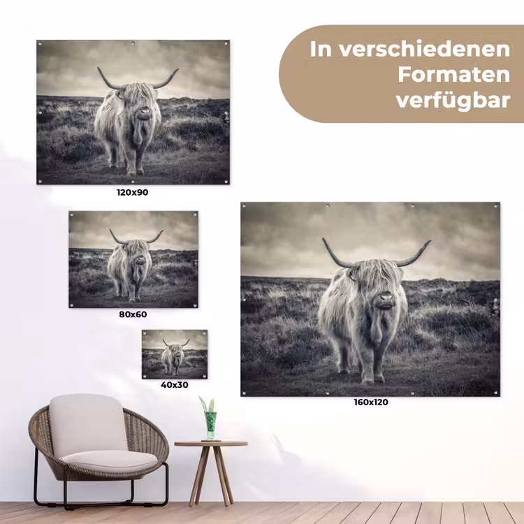Schotse hooglander - Dieren - Wolken - Koe - Natuur tuinposter los doek klein -Xsfeer9_DE