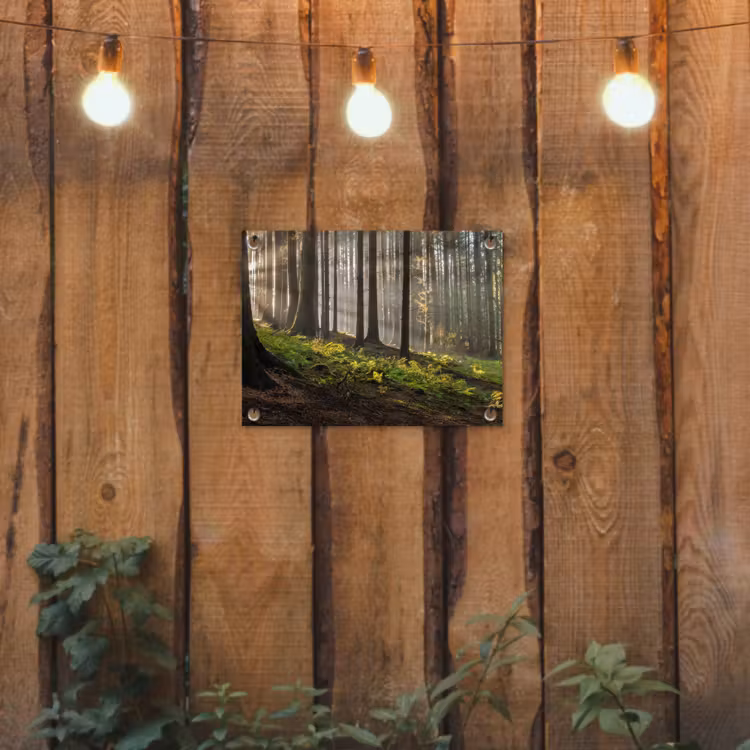 Zon - Takken - Bomen - Bos - Natuur tuinposter los doek klein -sfeer1