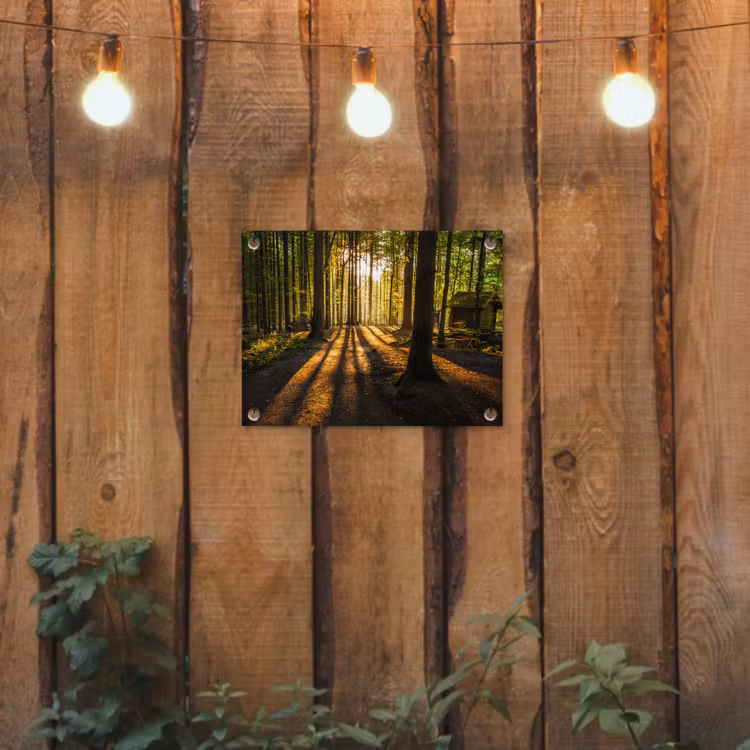 Zon - Bomen - Bos - Landschap - Natuur tuinposter los doek klein -sfeer1
