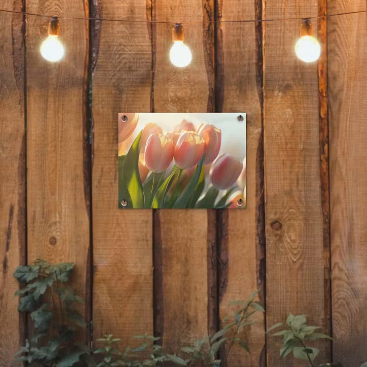 Tulpen - Roze - Zonnestralen tuinposter los doek klein -sfeer1