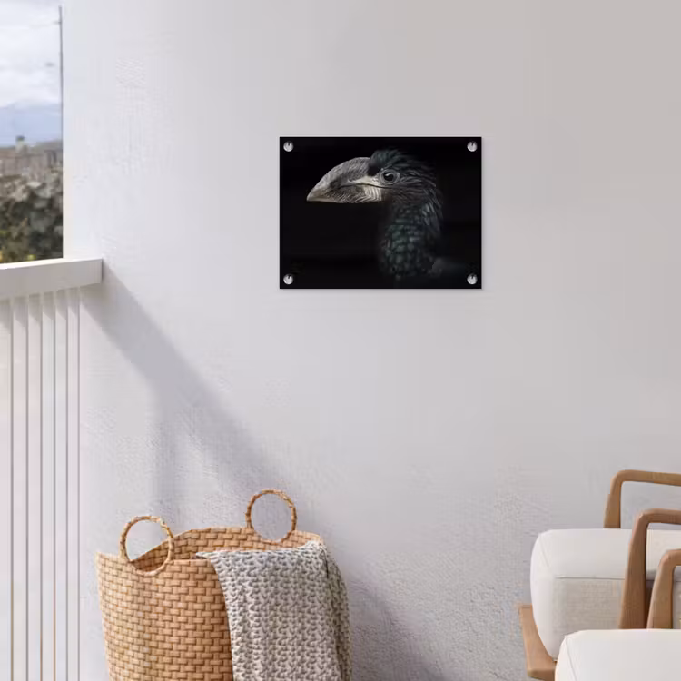 Vogel - Portret - Neushoornvogel - Zwart - Dieren tuinposter los doek klein -sfeer8