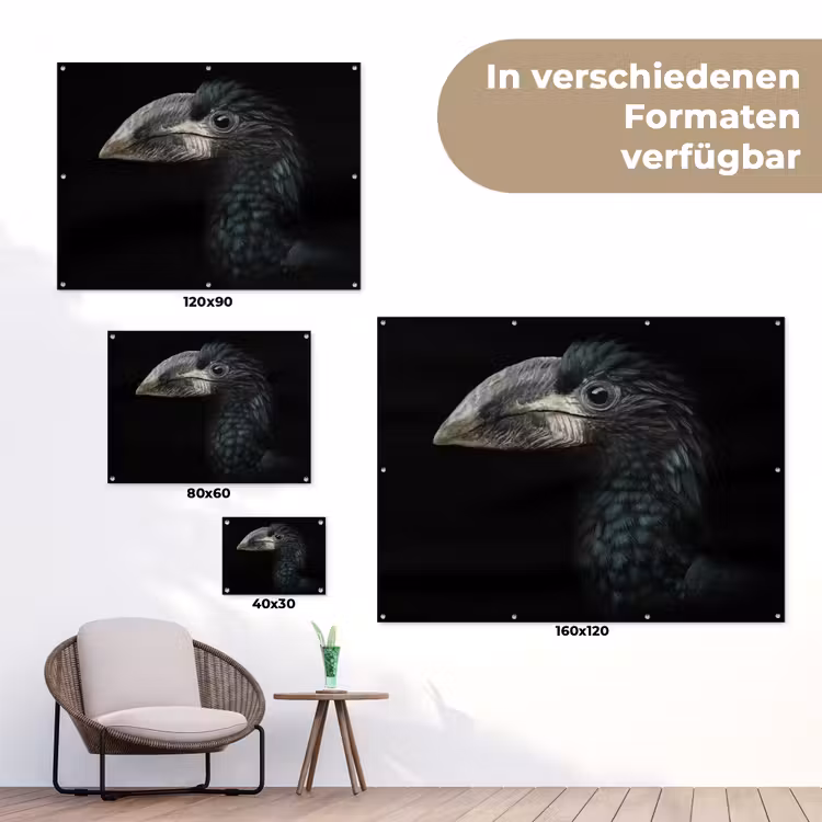Vogel - Portret - Neushoornvogel - Zwart - Dieren tuinposter los doek klein -Xsfeer9_DE
