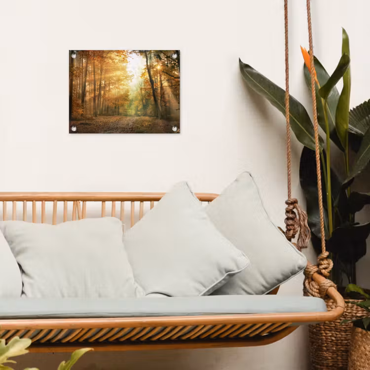 Bos - Herfst - Zon - Landschap - Natuur - Bomen - Bladeren tuinposter los doek klein -sfeer7