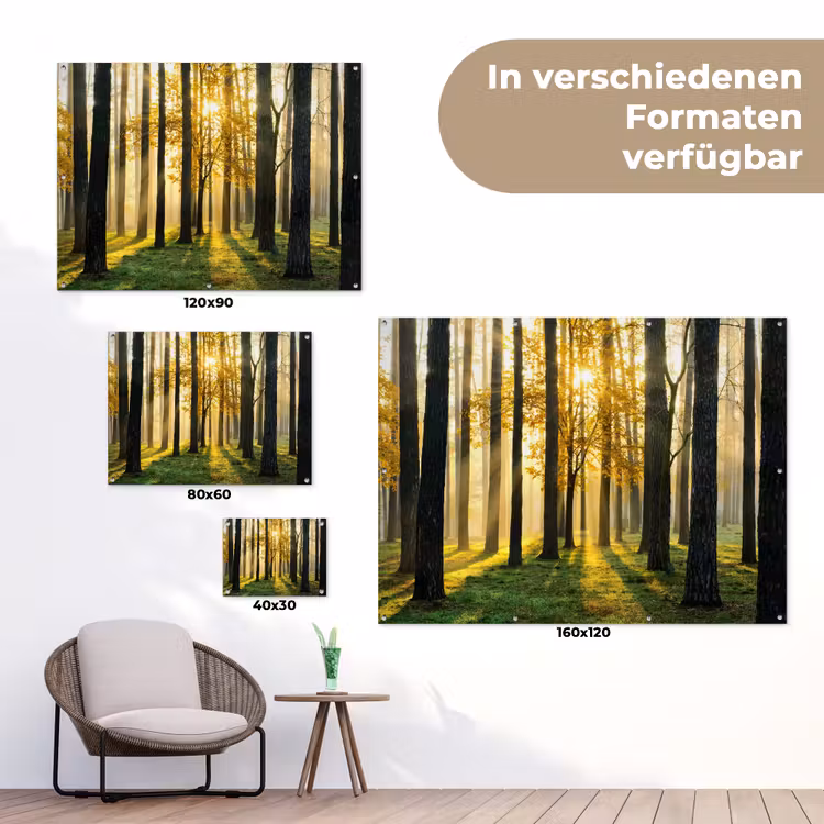 Bos - Zon - Bomen - Gras - Landschap - Natuur tuinposter los doek klein -Xsfeer9_DE