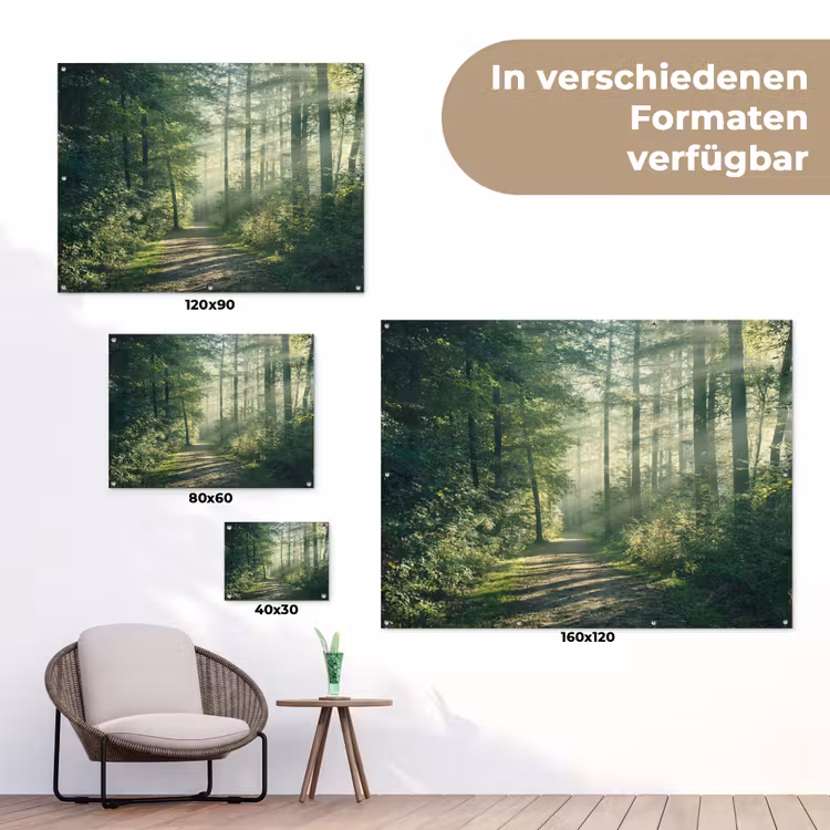 Bos - Pad - Zon - Bomen - Groen - Natuur tuinposter los doek klein -Xsfeer9_DE