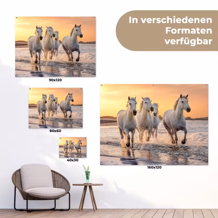 Witte paarden galopperen langs de kust tuinposter los doek klein -Xsfeer9_DE