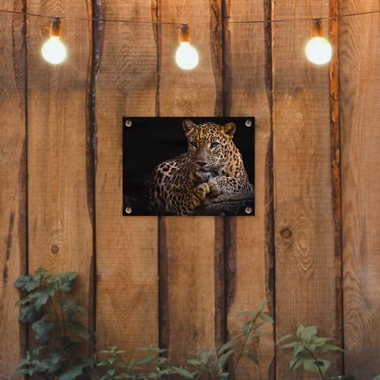 Wilde dieren - Panter - Portret - Zwart - Dieren tuinposter los doek klein -sfeer1