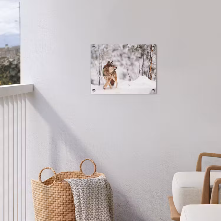 Wolf - Winter - Sneeuw - Natuur - Dieren tuinposter los doek klein -sfeer8