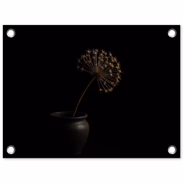 Bol - Gedroogd - Vaas - Zwart tuinposter los doek klein -3d