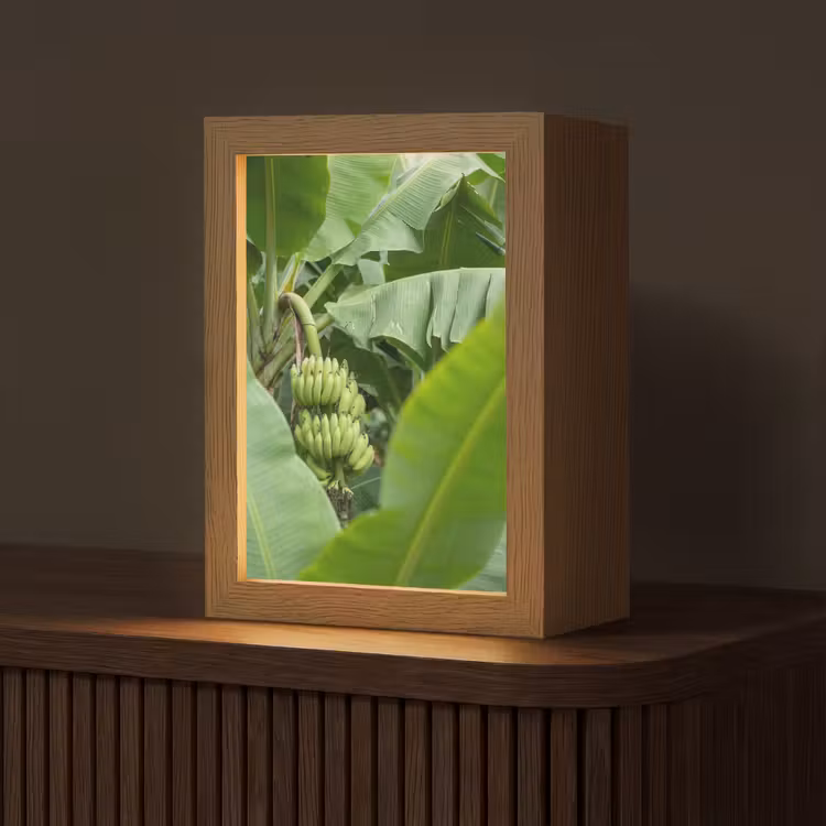 Personalisierte Lightbox - Essen – Bananen – Plantage – Grün - Eten - Bananen - Plantage - Groen Light Box met kabel (Tafellamp) klein