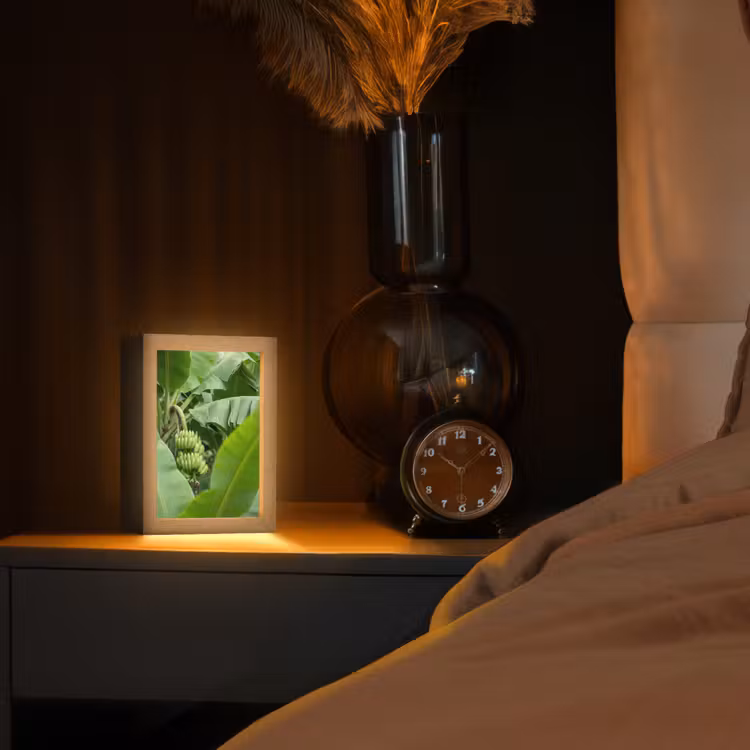 Personalisierte Lightbox - Essen – Bananen – Plantage – Grün - Eten - Bananen - Plantage - Groen Light Box met kabel (Tafellamp) klein