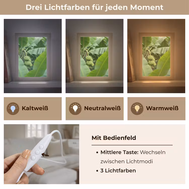 Personalisierte Lightbox - Essen – Bananen – Plantage – Grün - Eten - Bananen - Plantage - Groen Light Box met kabel (Tafellamp) klein